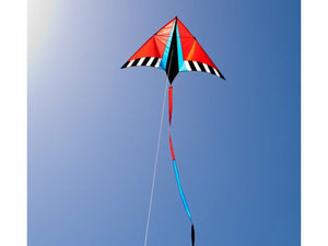 Spotlight Delta 6' Kite