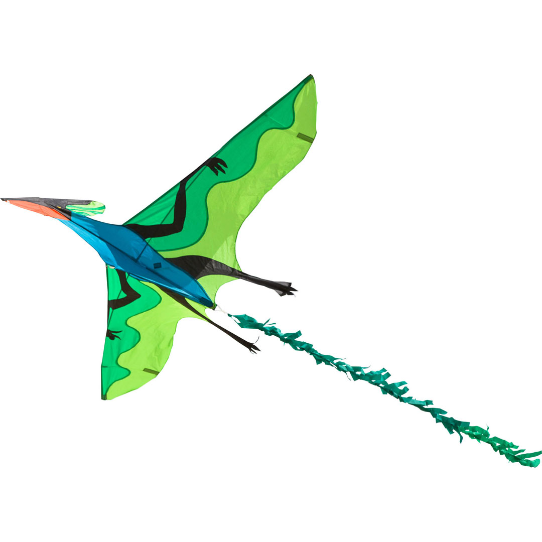 Pterodactyl Flying Dragon Illustration PNG Images