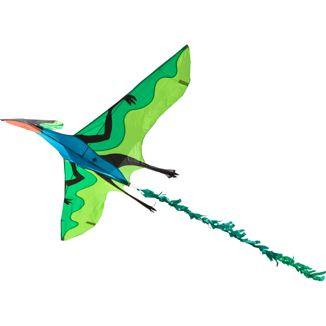 Pterodactyl Kite Flying dinosaur kite 3D KITE