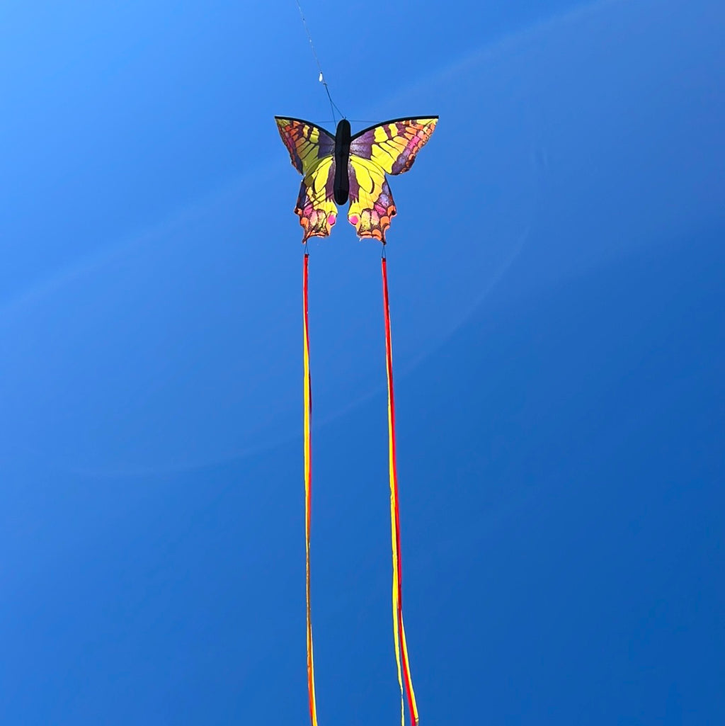 Newport Kites