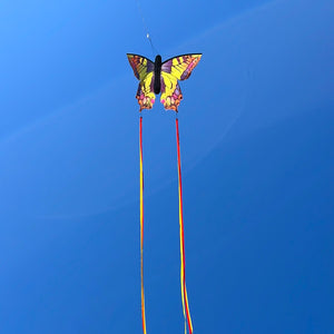 Large Butterfly Kite. Monarch, Swallowtail, Ruby, Peacock