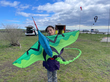 Load image into Gallery viewer, Pterodactyl Kite Flying dinosaur kite 3D KITE

