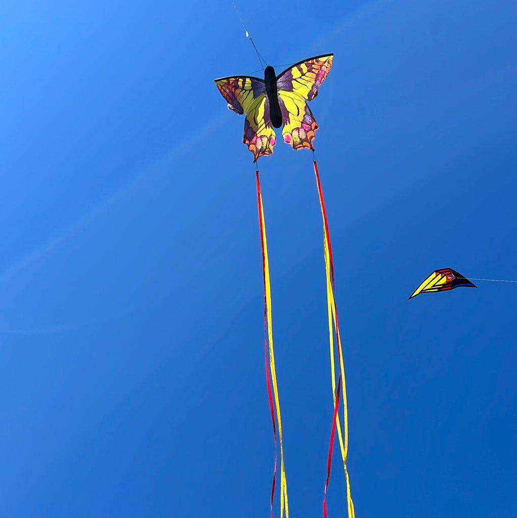 Newport Kites