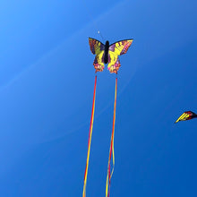 Load image into Gallery viewer, Large Butterfly Kite. Monarch, Swallowtail, Ruby, Peacock
