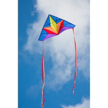 Load image into Gallery viewer, Easy to fly Delta kite.   Delta Stern
