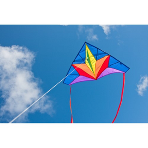 Easy to fly Delta kite.   Delta Stern
