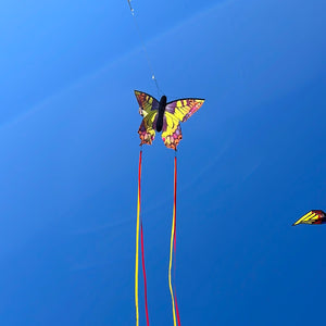Large Butterfly Kite. Monarch, Swallowtail, Ruby, Peacock