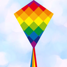 Load image into Gallery viewer, Eddy Rainbow Patchwork  20&#39;&#39; Kite
