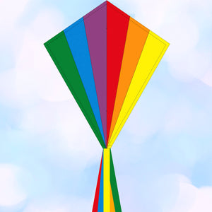 Eddy Rainbow  28'' Kite